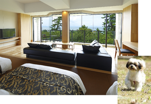 ホテルビワドッグ