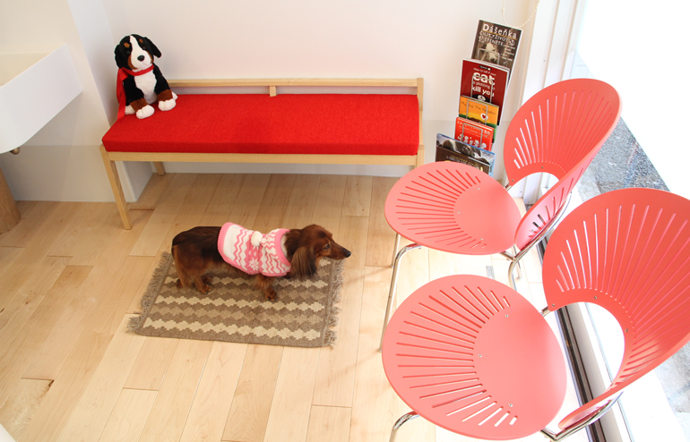 虎ノ門どうぶつ病院